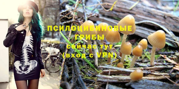 первитин Новодвинск