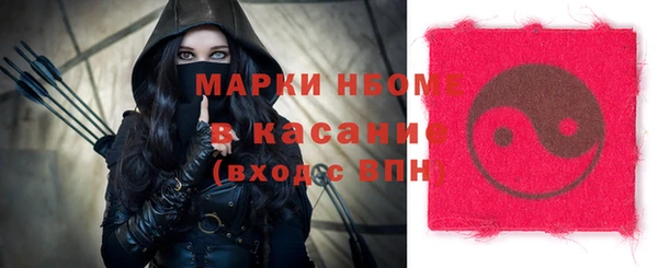 твердый Арсеньев