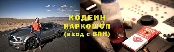 сатива Новокубанск