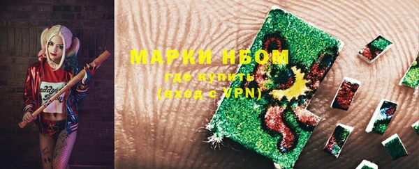 твердый Арсеньев